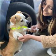 Profesora especializada en cursos de Letras, lectura crítica y redacción académica